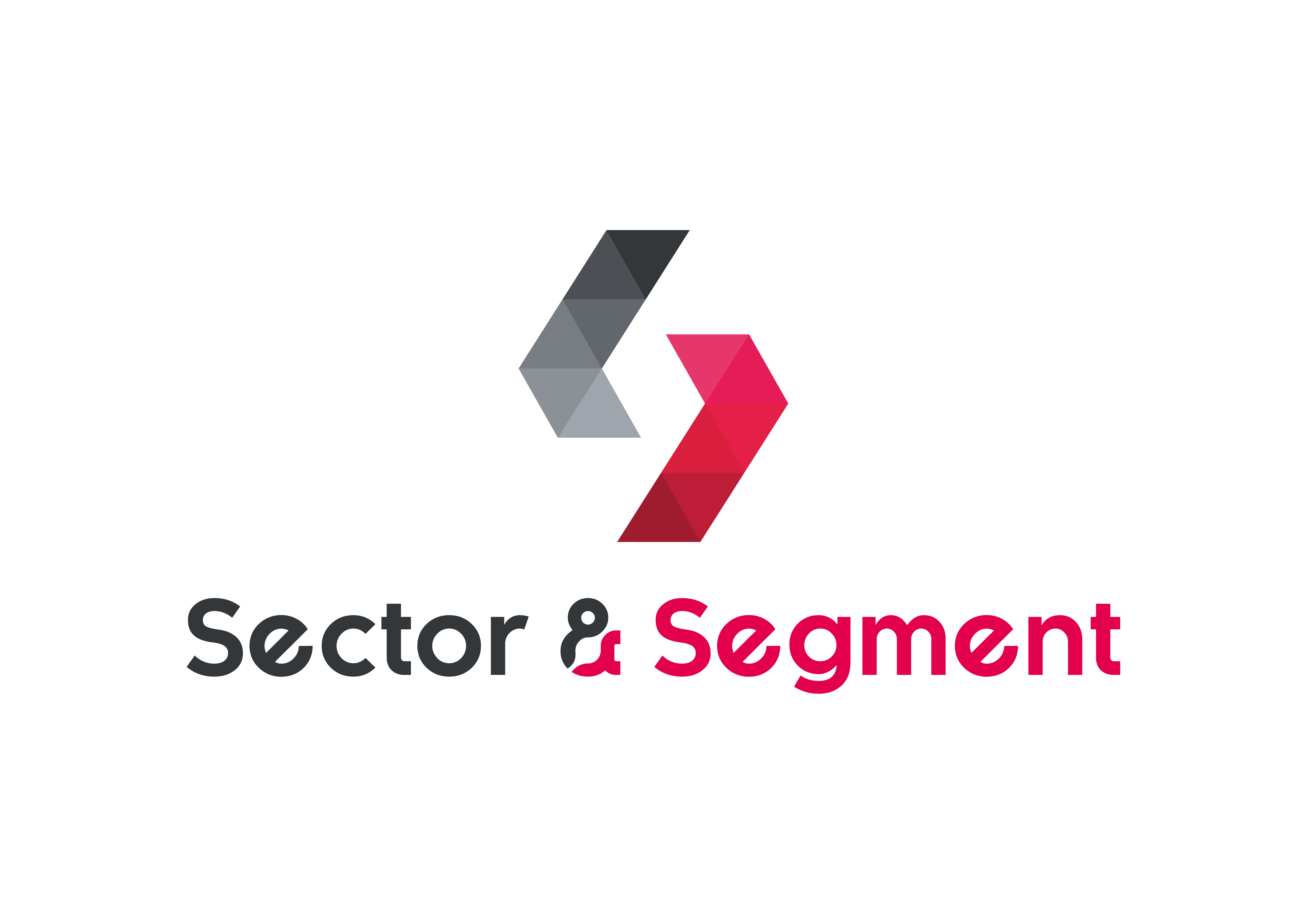 logo for Sector & Segment Group