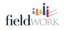 logo for Fieldwork - Network International